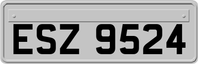 ESZ9524