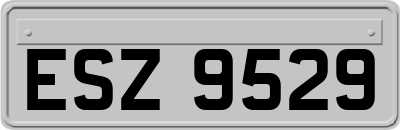 ESZ9529