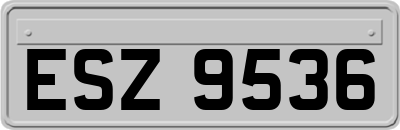 ESZ9536