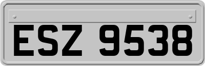 ESZ9538