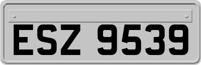 ESZ9539