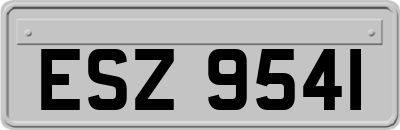 ESZ9541