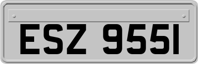ESZ9551