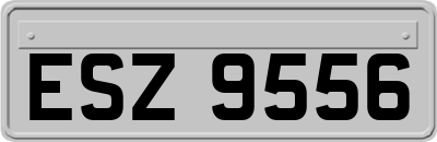 ESZ9556