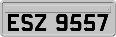 ESZ9557