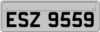 ESZ9559