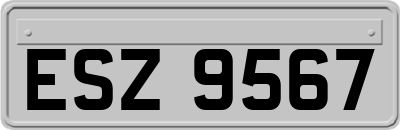 ESZ9567