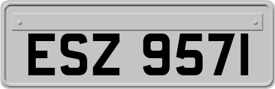 ESZ9571