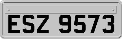 ESZ9573