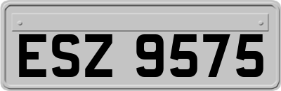 ESZ9575