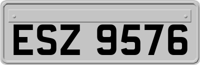 ESZ9576