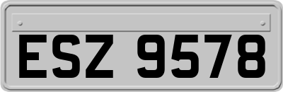 ESZ9578