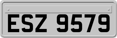 ESZ9579