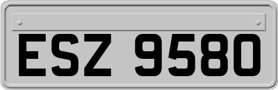 ESZ9580