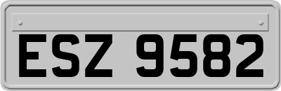 ESZ9582