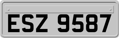 ESZ9587