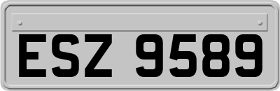 ESZ9589