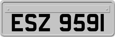 ESZ9591