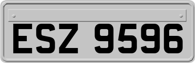 ESZ9596