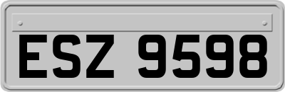 ESZ9598