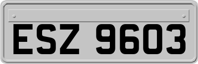ESZ9603