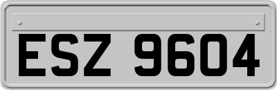 ESZ9604