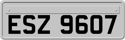 ESZ9607
