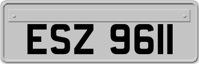 ESZ9611