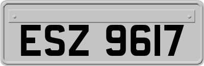 ESZ9617