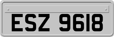 ESZ9618