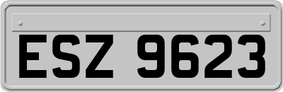 ESZ9623
