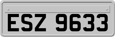 ESZ9633