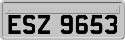 ESZ9653