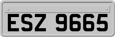 ESZ9665