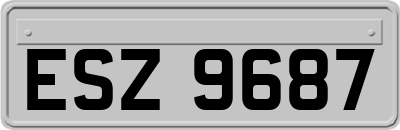 ESZ9687