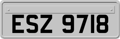 ESZ9718