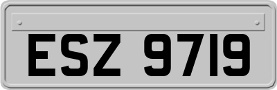 ESZ9719