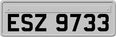 ESZ9733