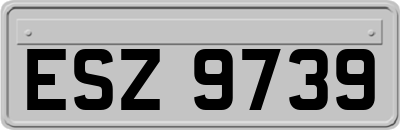 ESZ9739