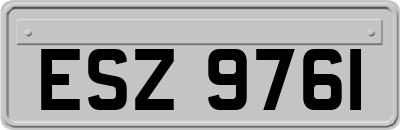ESZ9761