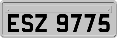 ESZ9775