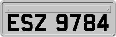 ESZ9784