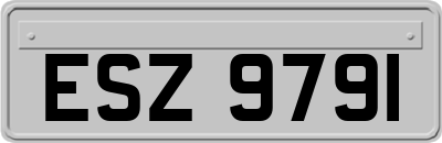 ESZ9791