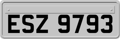 ESZ9793