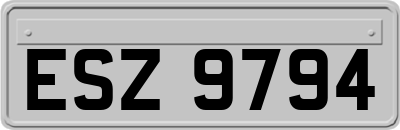 ESZ9794