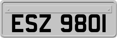 ESZ9801