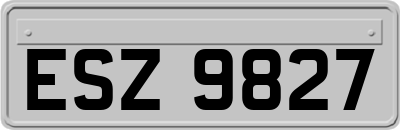 ESZ9827