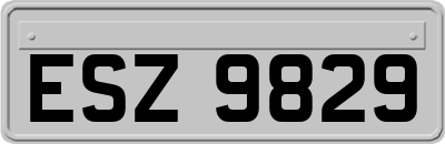 ESZ9829