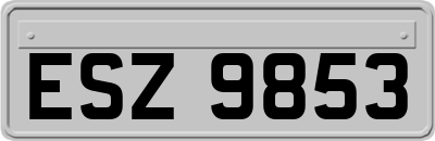 ESZ9853