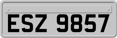 ESZ9857
